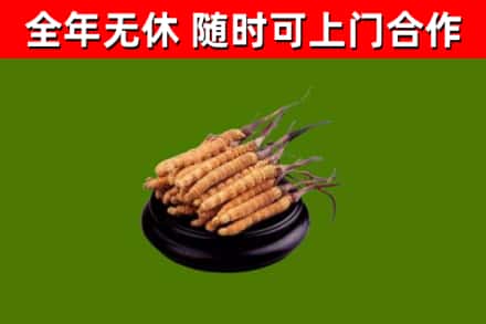 蒙山县烟酒回收冬虫夏草.jpg